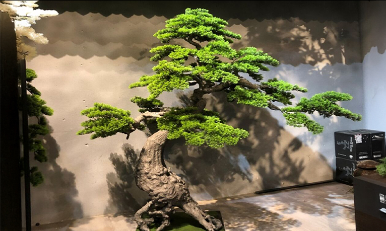 Yapay Bonzai (Bonsai) : Zarafeti ve Sadeliği Zahmetsizce Yaşam Alanlarına Taşımak